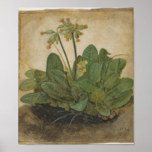Tuft von Cowslips von Albrecht Durer Poster