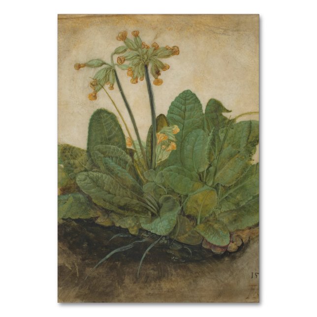 Tuft von Cowslips von Albrecht Durer Tischnummer (Vorderseite)