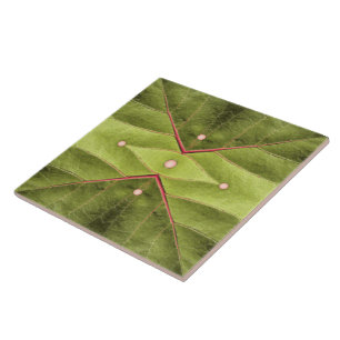 Tufted Olive Tapestry Fliese