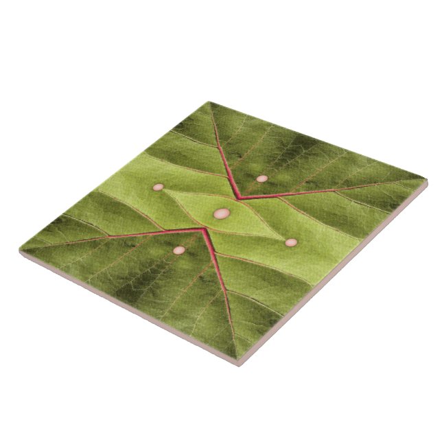 Tufted Olive Tapestry Fliese (Seite)