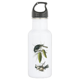 Tufted Titmouse von Audubon Trinkflasche