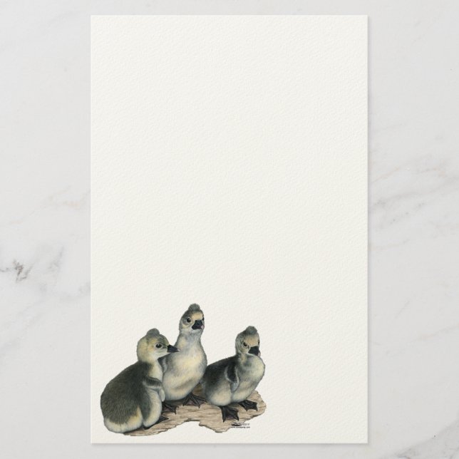 Tufted Toulouse Goslings Briefpapier (Vorderseite)