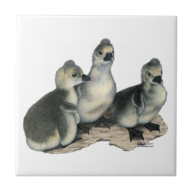 Tufted Toulouse Goslings Fliese (Vorderseite)