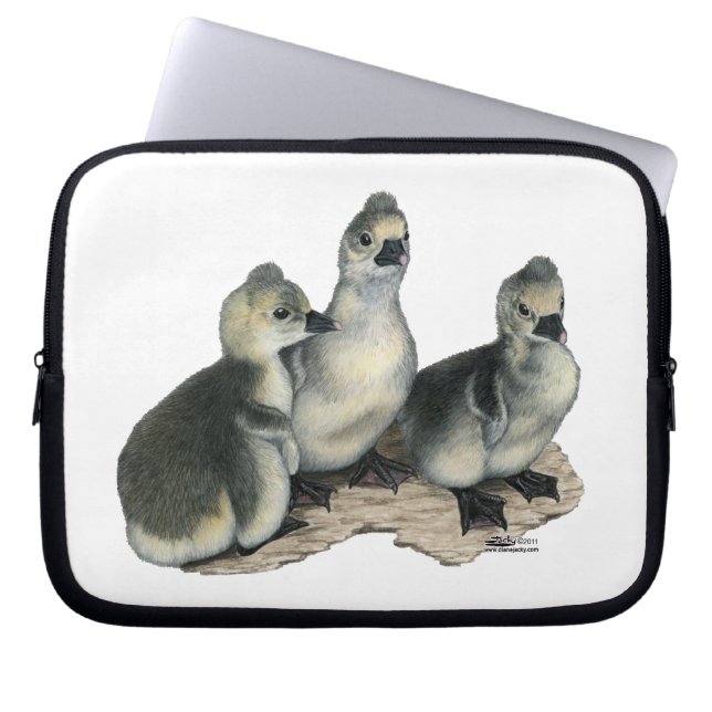 Tufted Toulouse Goslings Laptopschutzhülle (Vorderseite)