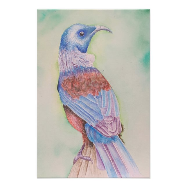 Tui - affiche (Devant)
