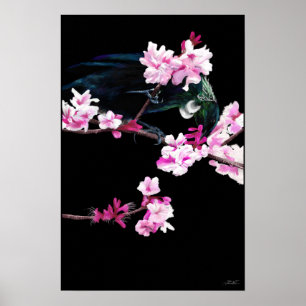 Tui Bird fütternd auf Kirschblüten - (GROSS) Poster