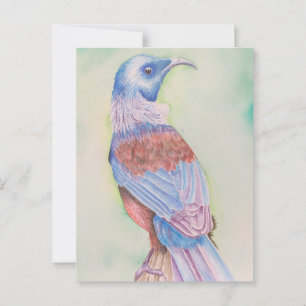 Tui - carte postale