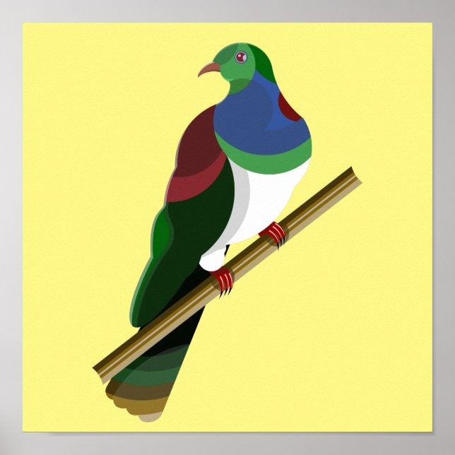 Tui Kereru NZ Bird Poster (Vorne)