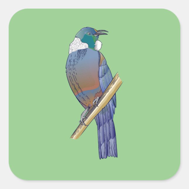 Tui New Zealand Bird Quadratischer Aufkleber (Vorderseite)