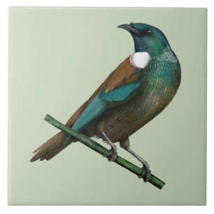 Tui New Zealands Bird Fliese