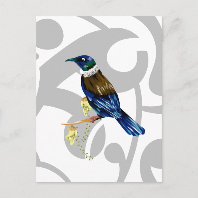Tui NZ Bird Postkarte (Vorderseite)