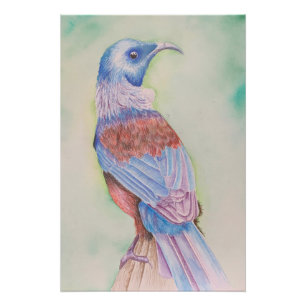 Tui - Poster