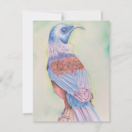 Tui - Postkarte