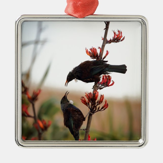 Tui-Vögel auf Neuseeländischem Flachs Ornament Aus Metall (Vorne)