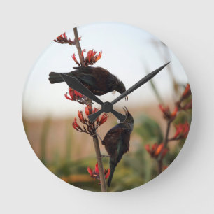 Tui-Vögel auf Neuseeländischem Leinenstrauch Runde Wanduhr