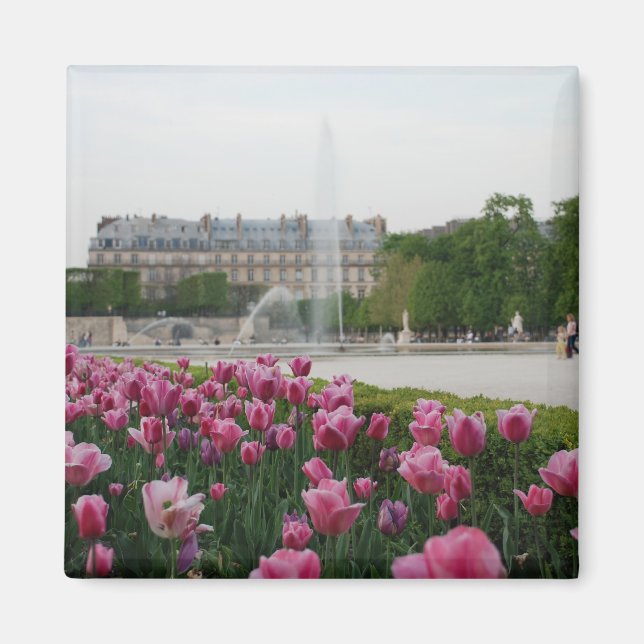 Tuileries Garden in Blüte Magnet (Vorne)