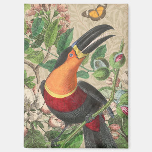 Tukan Dschungel Tropenvogel Schön Antiquität Magnet