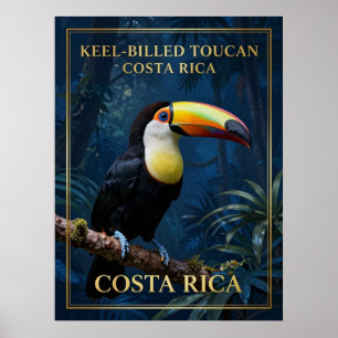 Tukan mit farbenfrohem Schnabel Costa Rica Tierwel Poster