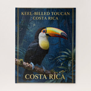 Tukan mit farbenfroher Schnabel Costa Rica Tierwel