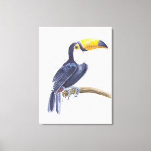 Tukan, tropischer Vogel Leinwanddruck
