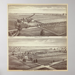 Tulare Bauernhöfe Poster