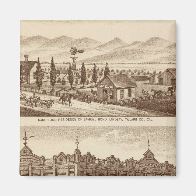 Tulare Co Bank Magnet (Vorne)