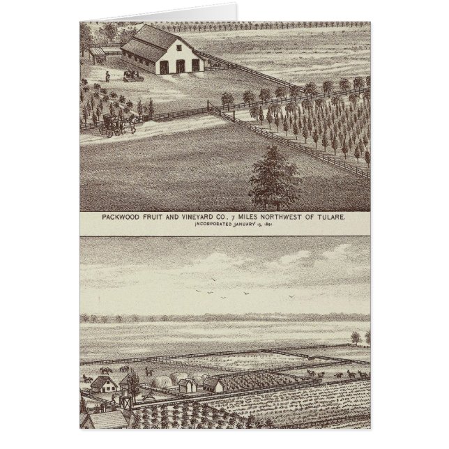 Tulare Farmen (Vorne)