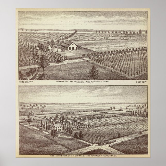 Tulare Farmen Poster (Vorne)