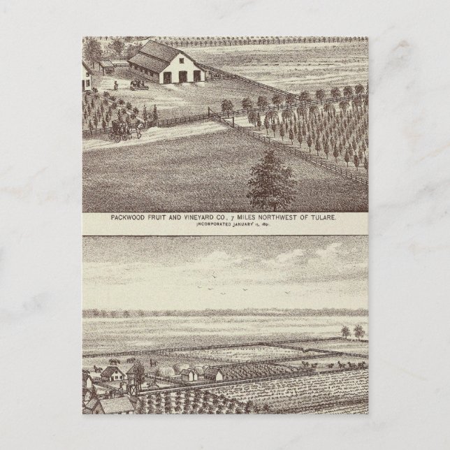 Tulare Farmen Postkarte (Vorderseite)