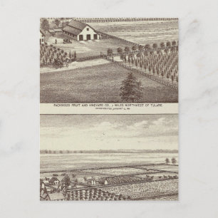 Tulare Farmen Postkarte