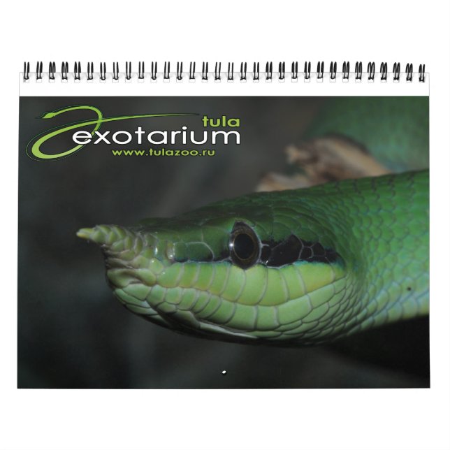 Tulazoo-Kalender Kalender (Titelbild)