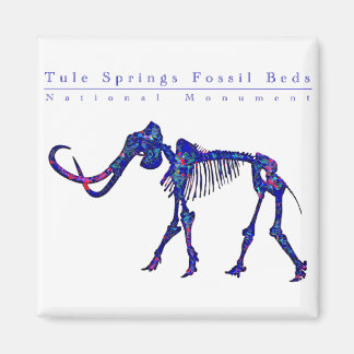 Tule Quellen Fossilienbetten Nationaldenkmal Magnet