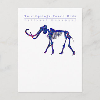 Tule Springs Fossile Betten: Alle Gewinne gespende Postkarte