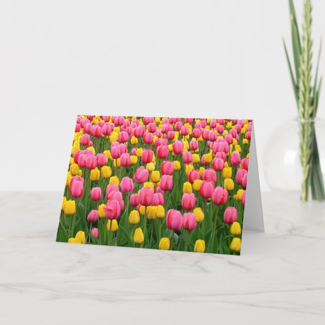 Tulip 1 leere Grußkarte Karte (Vorderseite)