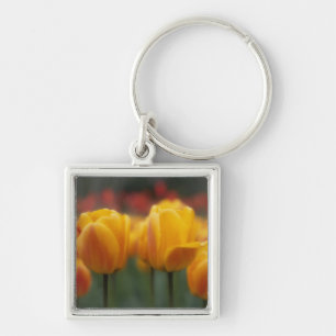 Tulip 2 schlüsselanhänger