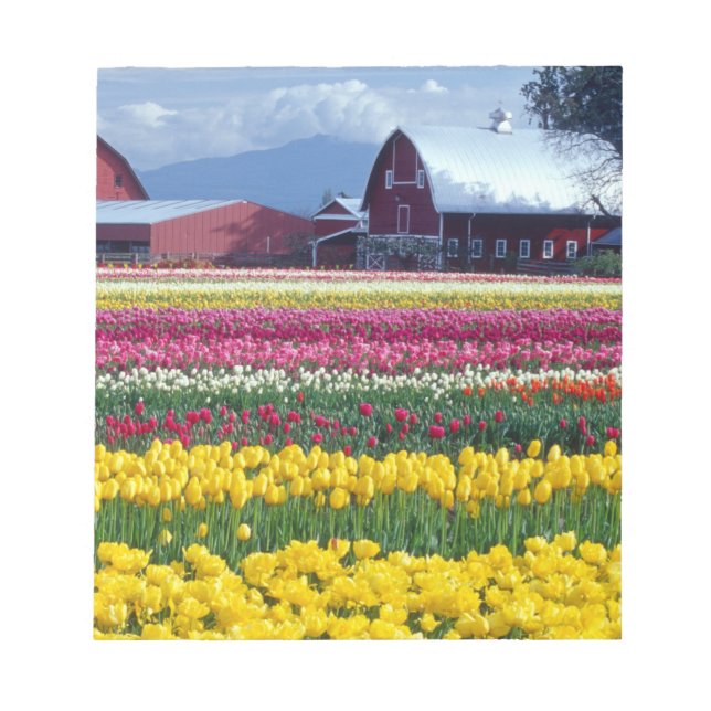 Tulip-Anzeigefeld Notizblock (Vorderseite)