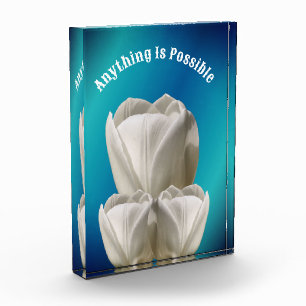 Tulip Blume Alles ist möglich Inspiration Fotoblock