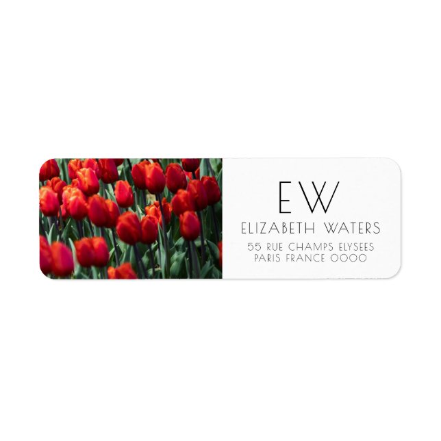 TULIP BLUME FOTOGRAPH RÜCKSENDEADRESSEN-AUFKLEBER (Vorne)