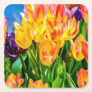 Tulip-Blume - Geblüht Rechteckiger Pappuntersetzer