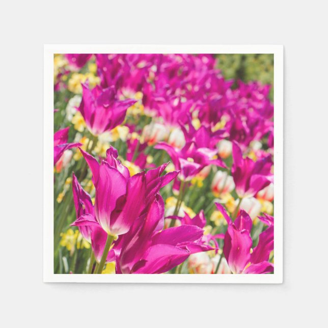 Tulip Blume in Fuchsia Serviette (Vorderseite)