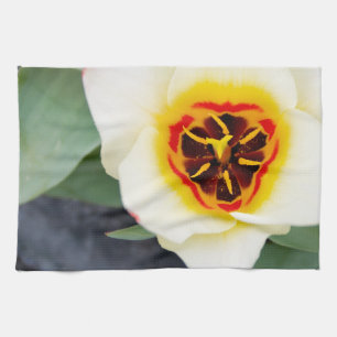 Tulip-Blume Küchentuch