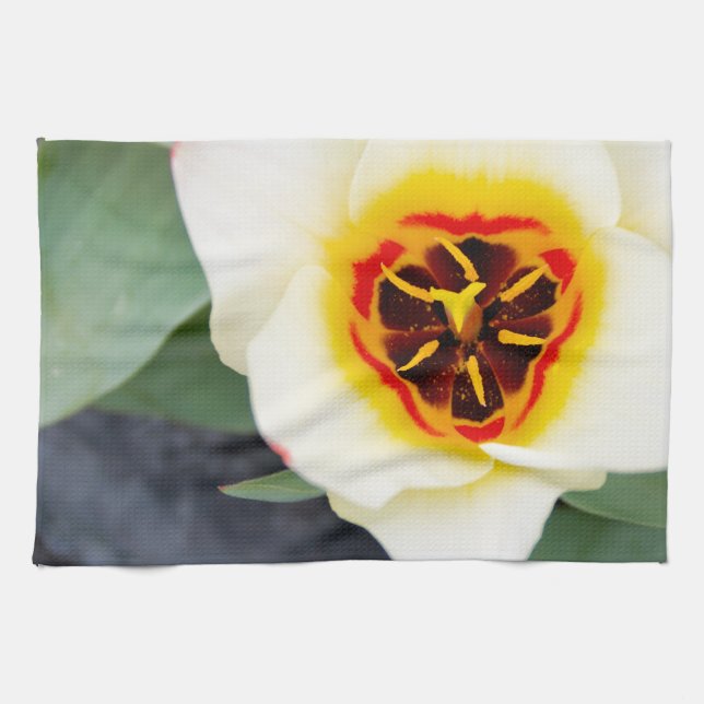 Tulip-Blume Küchentuch (Horizontal)