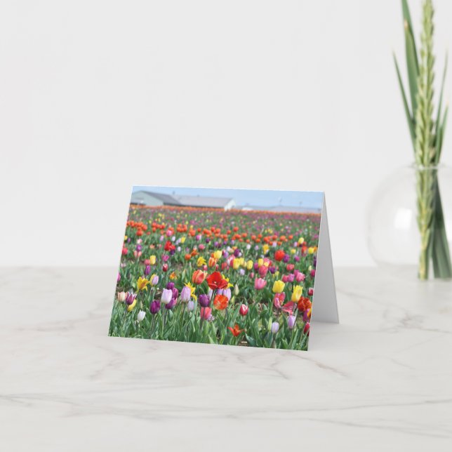 Tulip Blume Landschaft Grußkarte Karte (Vorderseite)
