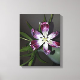Tulip Blume Leinwanddruck