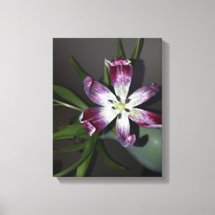 Tulip Blume Leinwanddruck
