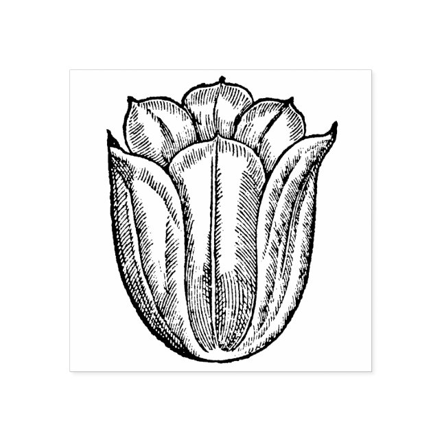 Tulip Blume Red Floral Botanical Holland Gummistempel (Prägung)