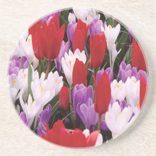 Tulip Blume Untersetzer