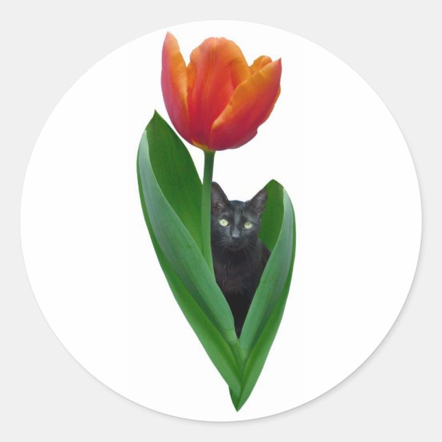 Tulip Cat Sticker (Vorderseite)