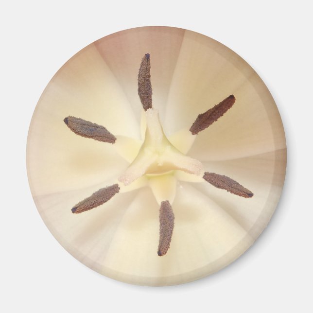 Tulip Center Magnet (Vorne)