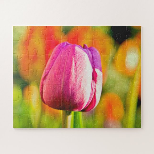 Tulip Collage (Horizontal)
